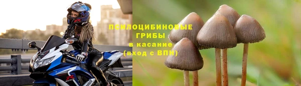 прущий лед Покровск