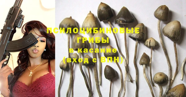 тгк Абдулино