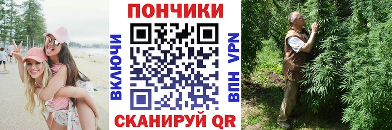 ОМГ ОМГ ССЫЛКА  цена   Грязи  Бошки Шишки индика 